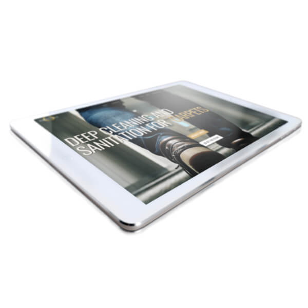 Client Showcase: Beverly Hills Carpet Cleaners